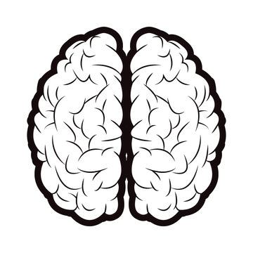 brain mind idea creativity memory outline vector illustration