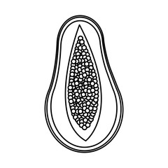 half papaya tropical fruit delicious design line vector illustration