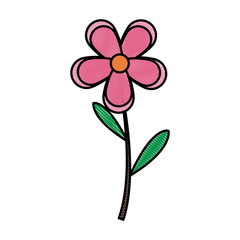 drawing pink flower spring decoration vector illustration