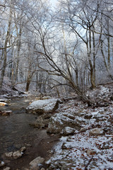 'Winter has come': Snow covered banks of Crimean mountain river
