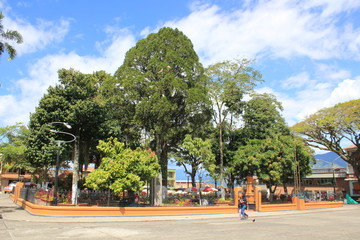 Arboleda del parque principal. Támesis, Antioquia, Colombia.