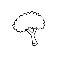 broccoli food nutrition vitamins health line vector illustration