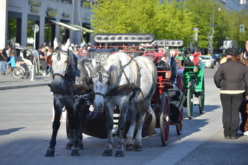 Horse cart in Berlin waiting for passengers