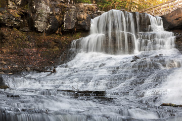 Obraz premium Top of Myosotis Falls