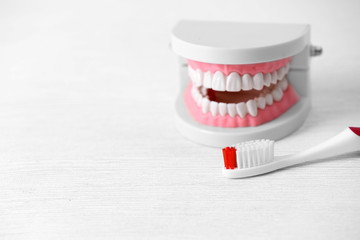 Artificial jaw model and toothbrush on table