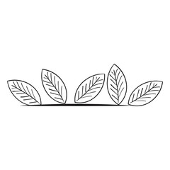 Fototapeta na wymiar leafs plant decorative icon vector illustration design