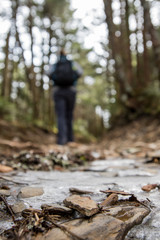 Hiker on Icy Trail