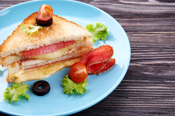 Tasty sandwich with cheese and sausage on plate