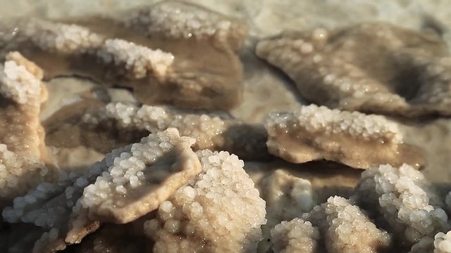 Salt on the shore of Dead Sea in Jordan. White salt deposits of Dead Sea