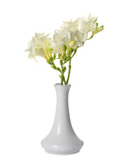 Vase with beautiful freesia flowers on white background