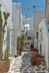 Fototapeta na wymiar Typical street in town of Naoussa, Paros island, Cyclades, Greece