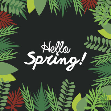 hello spring letter decorating, leaf natural dark background season vector illustration