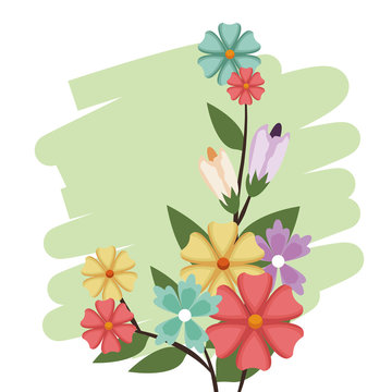 flowers bunch nature spring petal design vector illustation