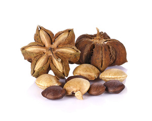 Image of sacha inchi peanut seed on white background