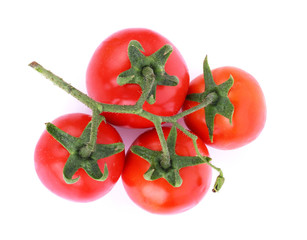 tomato on white background