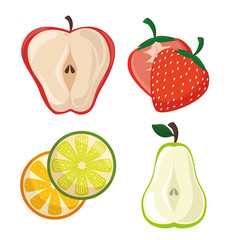 Colorful sliced fruits over white background. Vector illustration.