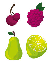 Cherries, blackberry, pear and lime over white background. Vector illustration.