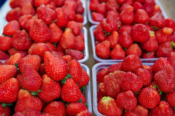 Fresh ripe strawberry in plastic boxes exposed for sale