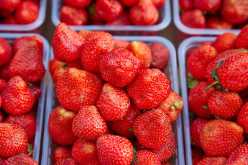 lot of large strawberries in the market