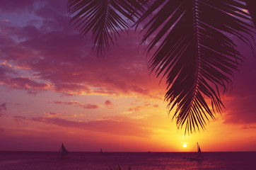 Fototapeta na wymiar Silhouette palm tree sailboats sunset faded filter