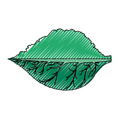 Leaf ecology symbol icon vector illustration graphic design