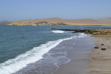 The Paracas National Reserve, Ica, Peru.