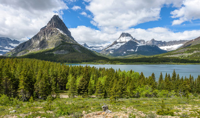 Mount Grinnell and Mount Wilbur - A panoramic spring view of Mount Grinnell and Mount Wilbur rising high above Swiftcurrent Lake in Many Glacier region of Glacier National Park, Montana, USA.