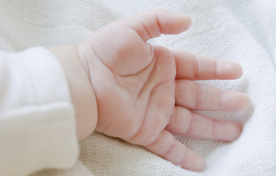 Cute Baby Hand