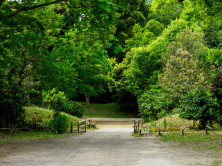 Hama rikyu japanese garden
