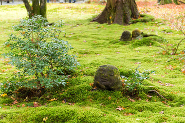 Naklejka premium Japanese temple in autumn, Sanzenin Warabe Jizo