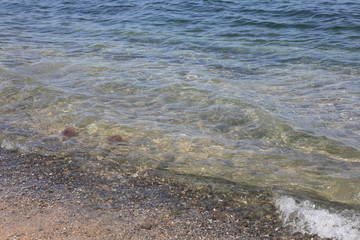 SEa of Wakayama Japan