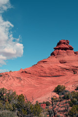 Flow Rock Vertical/Flowing patterns in geologic formation cliff side