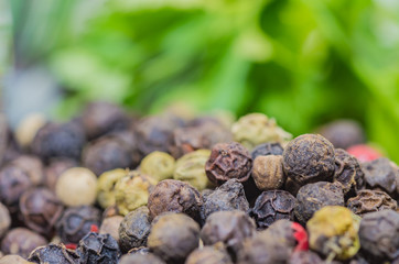 Fragrant black pepper on a white background, this is a common spice with useful properties obtained from seeds of plants of the genus Pepper