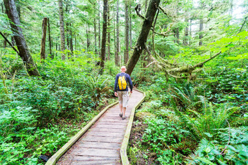 Vancouver forest © Galyna Andrushko
