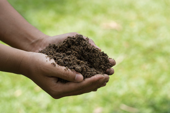 Farmer hands holding the soil.