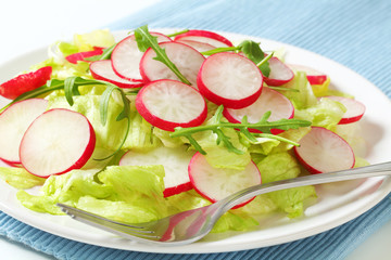 Fresh vegetable salad