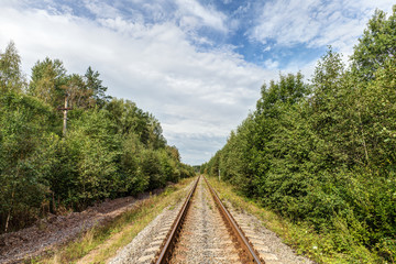Fototapeta na wymiar railway in summer