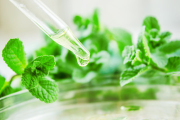 The mint extract in a small jar. Selective focus. 