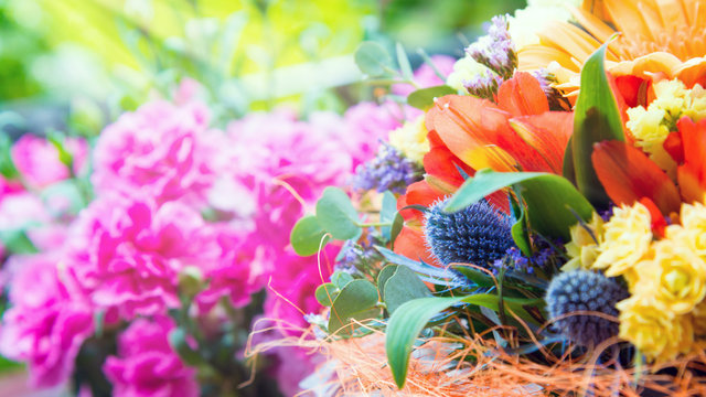 Buntes Blumenhbanner