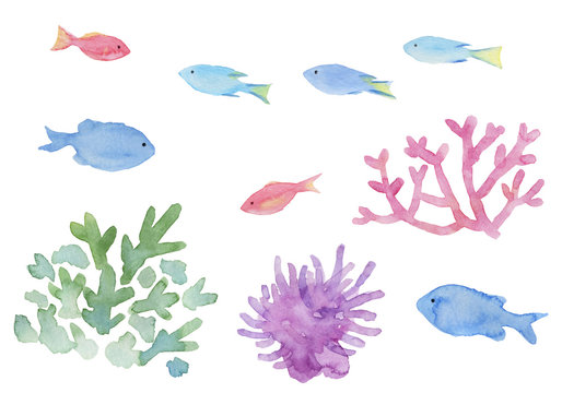 熱帯魚　珊瑚　イソギンチャク　水彩イラスト