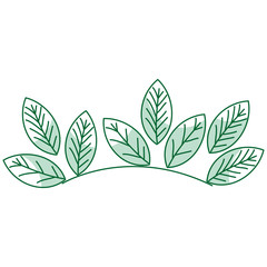 leafs plant decorative icon vector illustration design