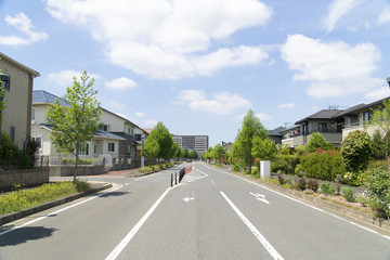 Fototapeta premium 新築分譲住宅街 イメージ 爽やかな青空 新緑 道路 シンメトリー