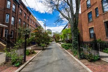 Historic District of Court Street in Wooster Square in New Haven, Connecticut - obrazy, fototapety, plakaty