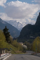 snow-capped mountains and green pine trees