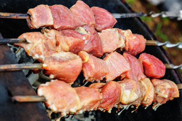 Pork shashlik on skewers