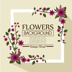 floral background decorative frame vector illustration design