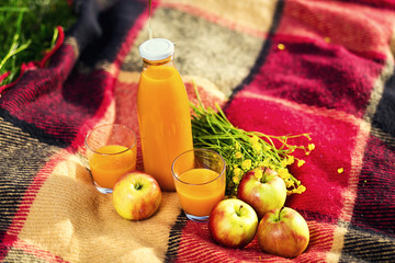 picnic on the grass. juice, a bouquet of wild flowers, fruit,Picnic at the park on the grass,healthy food and accessories,Picnic Grass Summer Time Rest