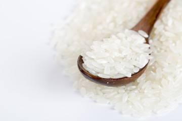 Rice grain closeup on the white background