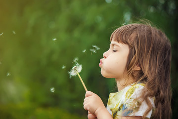 girl blowing dandelions in the air. selective focus. 