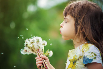 girl blowing dandelions in the air. selective focus. 